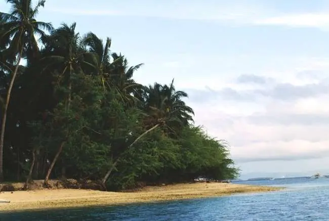 Collection thumbnail