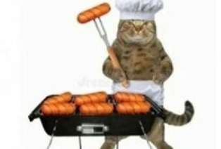 고기 구워주는 고양이 친구